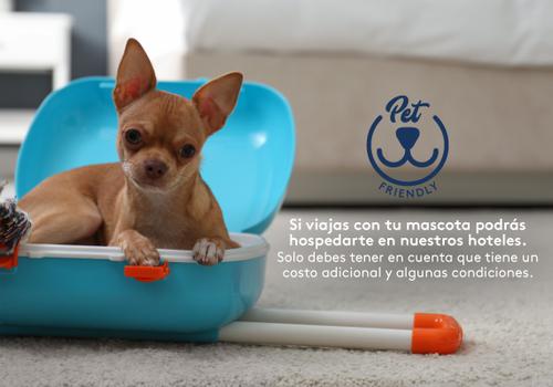 Admite mascotas ESTELAR Apartamentos Barranquilla Barranquilla